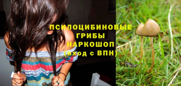 прущая мука Армянск