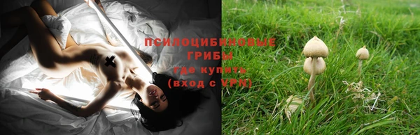 ПСИЛОЦИБИНОВЫЕ ГРИБЫ Аркадак
